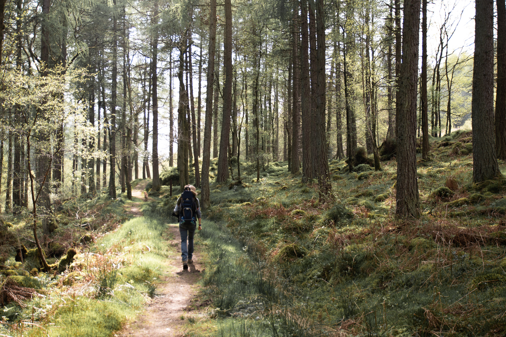 Beautiful short hikes in Scotland